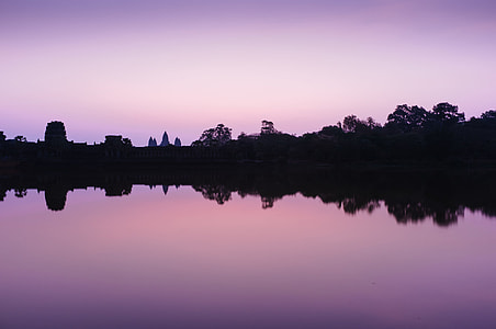 silhouette photo of trees reflecting on still body of water thumbnail