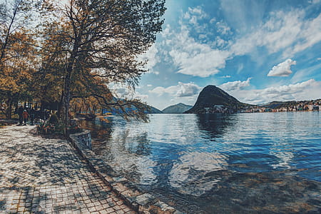 Body of Water Between Tall Trees Under Blue Sky thumbnail