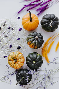 Small yellow and dark green pumpkins on a white background thumbnail