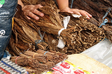 photo of person touching withered leaves thumbnail