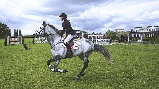 woman riding white horse during daytime thumbnail