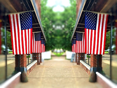 USA flags lot in pathway thumbnail