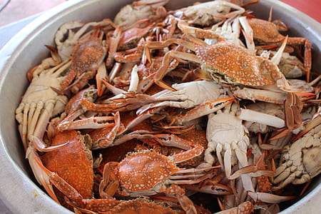 cooked crabs in cooking pot thumbnail