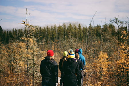 group of people walking beside brown trees thumbnail