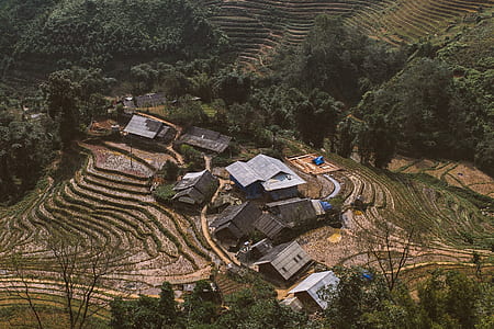 aerial photo of a rice terraces thumbnail