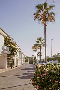nature, sky, street, architecture thumbnail