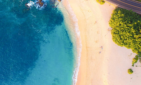bird's-eye view photography of shoreline thumbnail