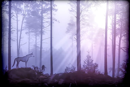 unicorn in the middle of forest graphics art thumbnail