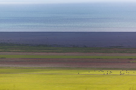 landscape, horizon, field, grass landscape, horizon, field, grass thumbnail