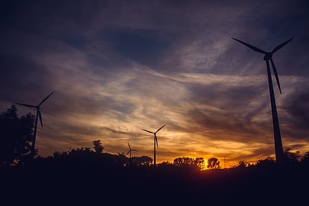 Black Windmills during Sunset thumbnail