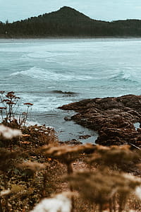 Autumn Shore Photo thumbnail