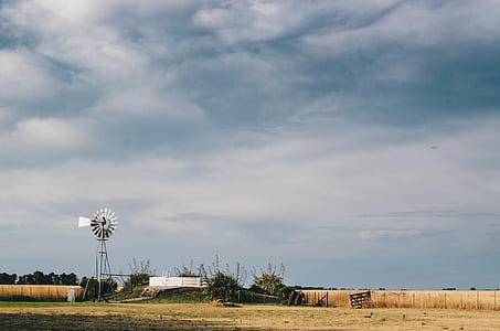 white wind vane near trees under cloudy sky thumbnail