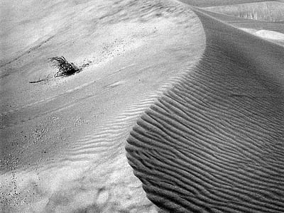 grayscale photo of desert thumbnail