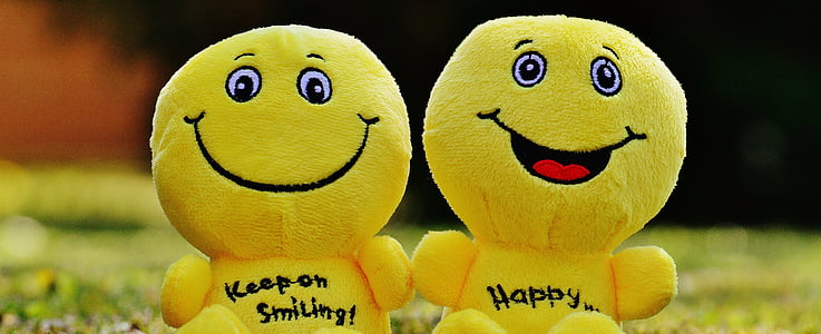 two yellow plush toys thumbnail