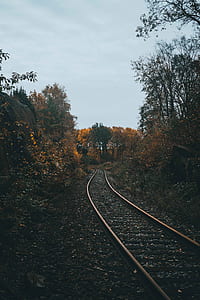 empty train railroad thumbnail