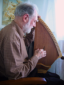man playing harp sitting on armchair in front of window thumbnail