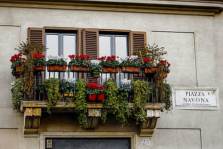 variety of flowers on balcony thumbnail