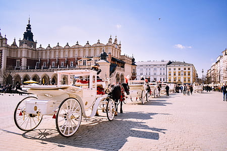 horses white carriages on gray pavements thumbnail