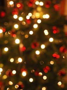 bokeh photography of string lights thumbnail