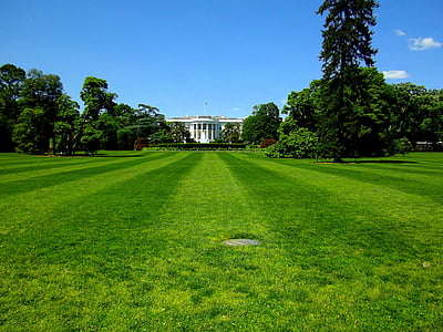 green grass field under blue sky thumbnail