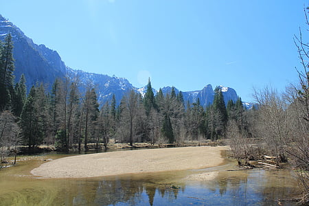field of trees near mountain thumbnail