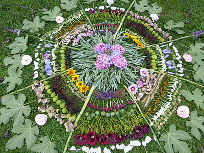 pink and maroon petaled flowers arrangement thumbnail