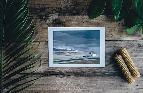 house near mountains photo between sago plant and 2 yellow decors both on brown wooden panel thumbnail