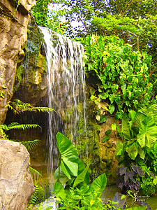 waterfalls thumbnail