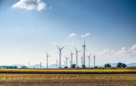 lanscape photography of wind turbines thumbnail