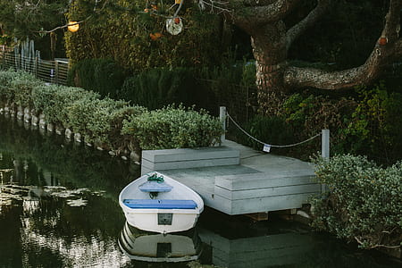 white and blue boat beside white wooden dock thumbnail