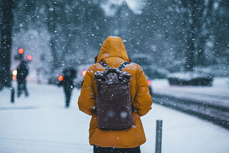 person walking on snowy day thumbnail