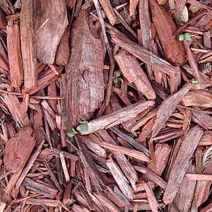 brown firewood lot thumbnail