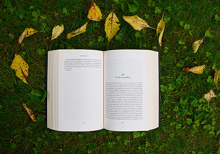 opened book thumbnail