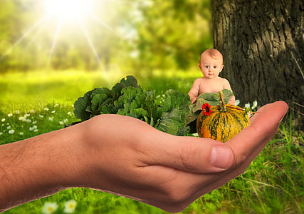 person holding green leaves thumbnail