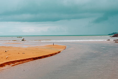 beach during daytime thumbnail