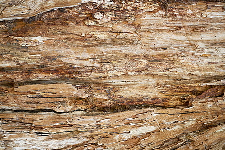 brown wood surface thumbnail