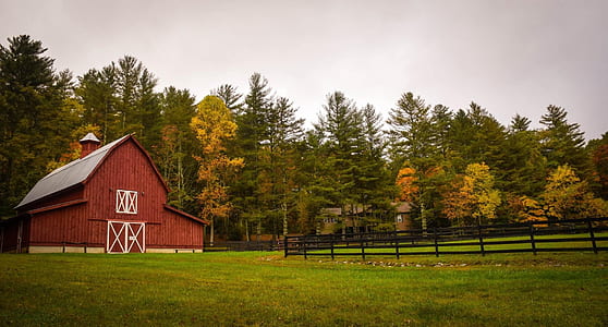 red and gray house near trees under the clear sky during daytime thumbnail
