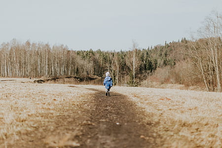 toddler walking road surrounded with trees thumbnail