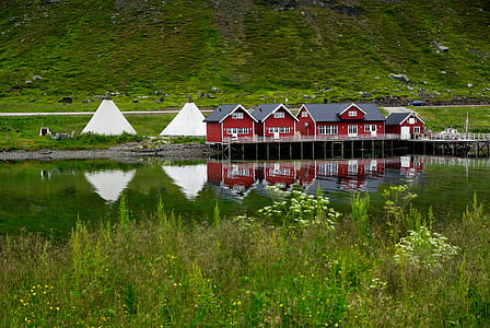 red houses beside pond during daytime thumbnail