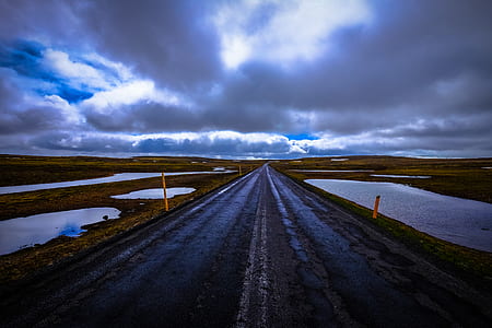 wood, road, dawn, landscape thumbnail