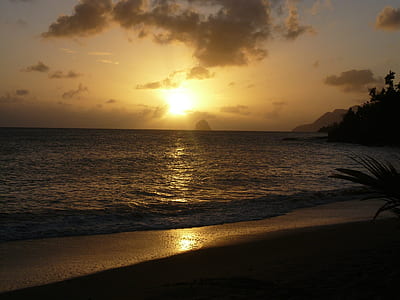 photography of beach during golden hour thumbnail