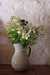 yellow and green flowers thumbnail
