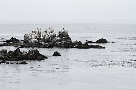 rocks on body of water thumbnail