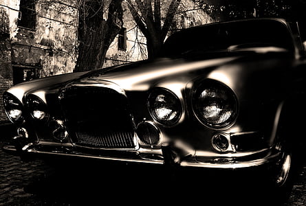 grayscale photo of vehicle beside tree thumbnail