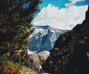 photo of green leaf plant in front of rocky mountain during daytime thumbnail