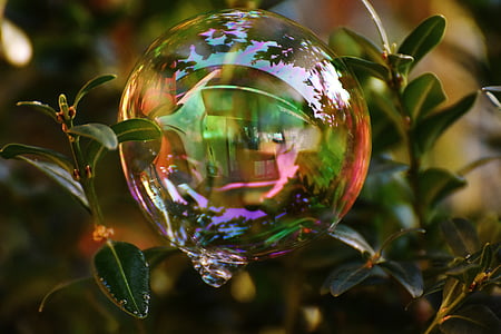 bubble on green leaves in macro shot thumbnail