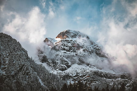 green trees near mountains at daytime thumbnail