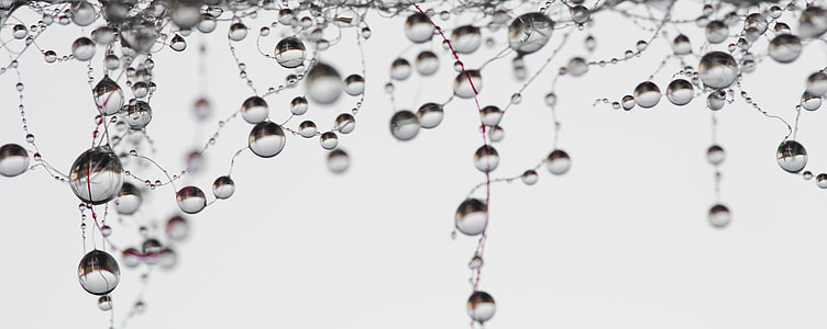 photo of water drops thumbnail