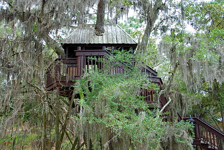 brown and green tree house thumbnail