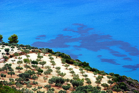 aerial view of island near body of water thumbnail